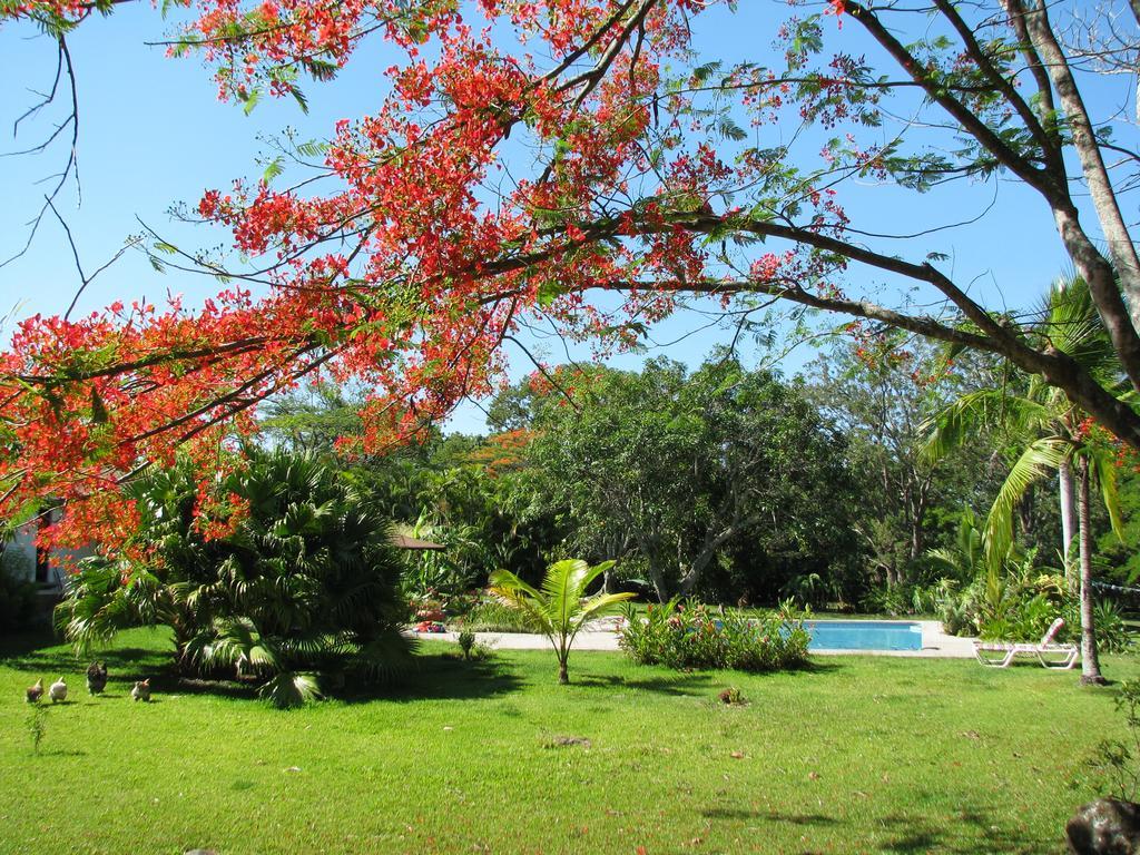 Quinta Celeste Hotel La Garita  ภายนอก รูปภาพ